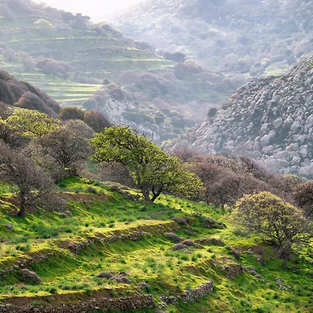 Xinara House Old Blacksmiths Xinara Tinos Island *